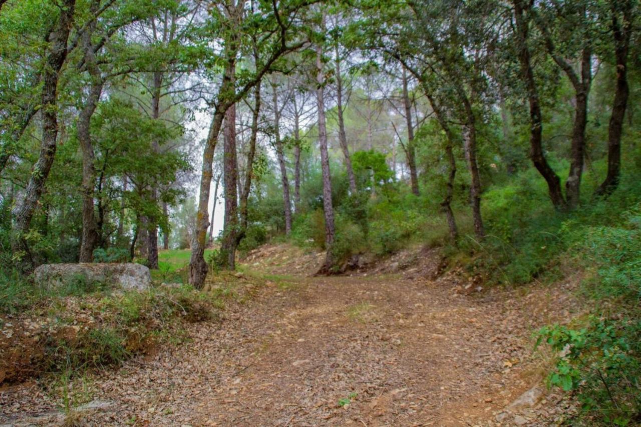 B&B S'Omu Antiga Nureci Buitenkant foto