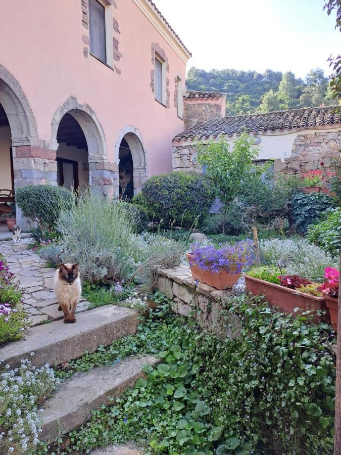 B&B S'Omu Antiga Nureci Buitenkant foto
