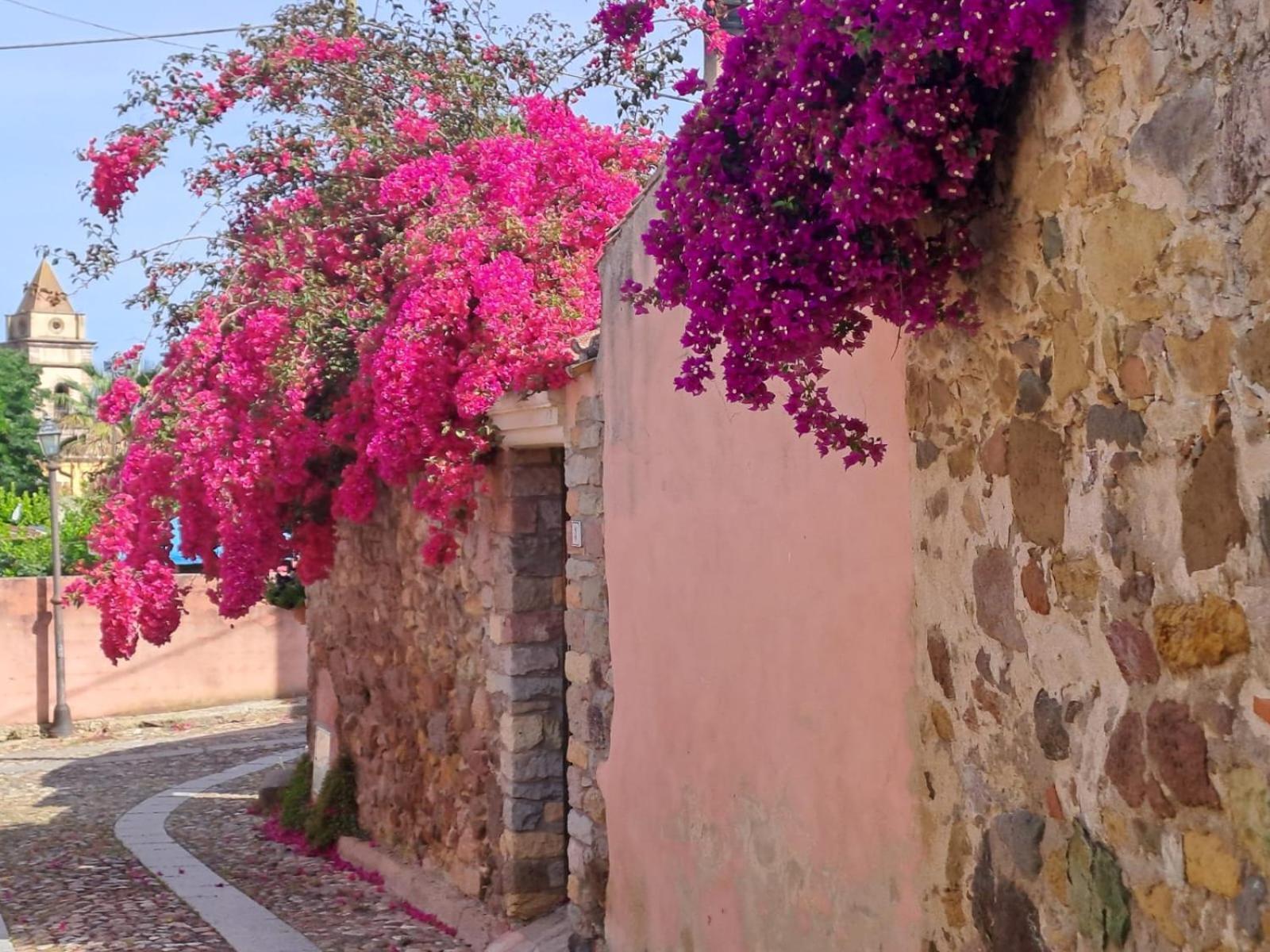 B&B S'Omu Antiga Nureci Buitenkant foto