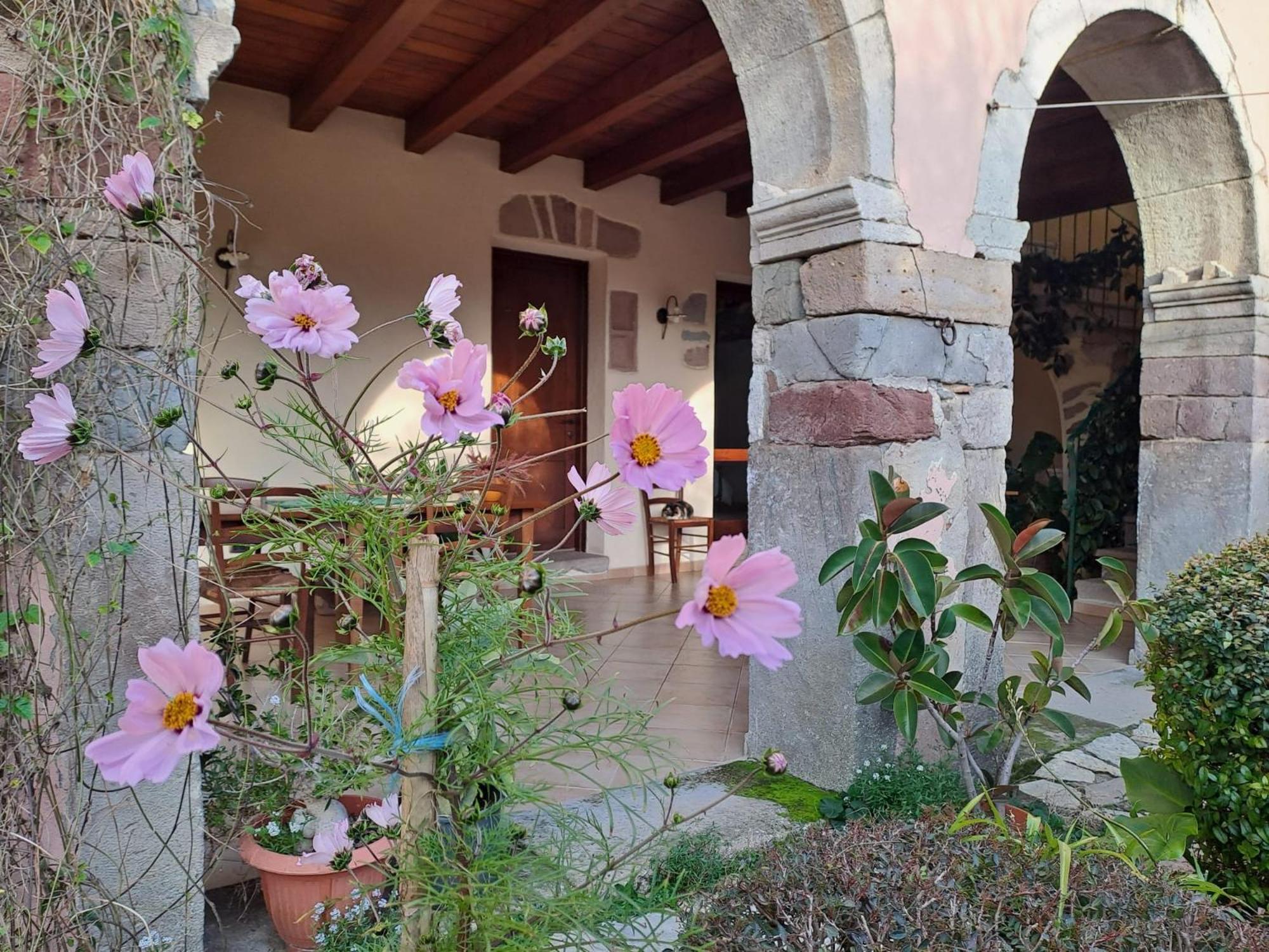 B&B S'Omu Antiga Nureci Buitenkant foto