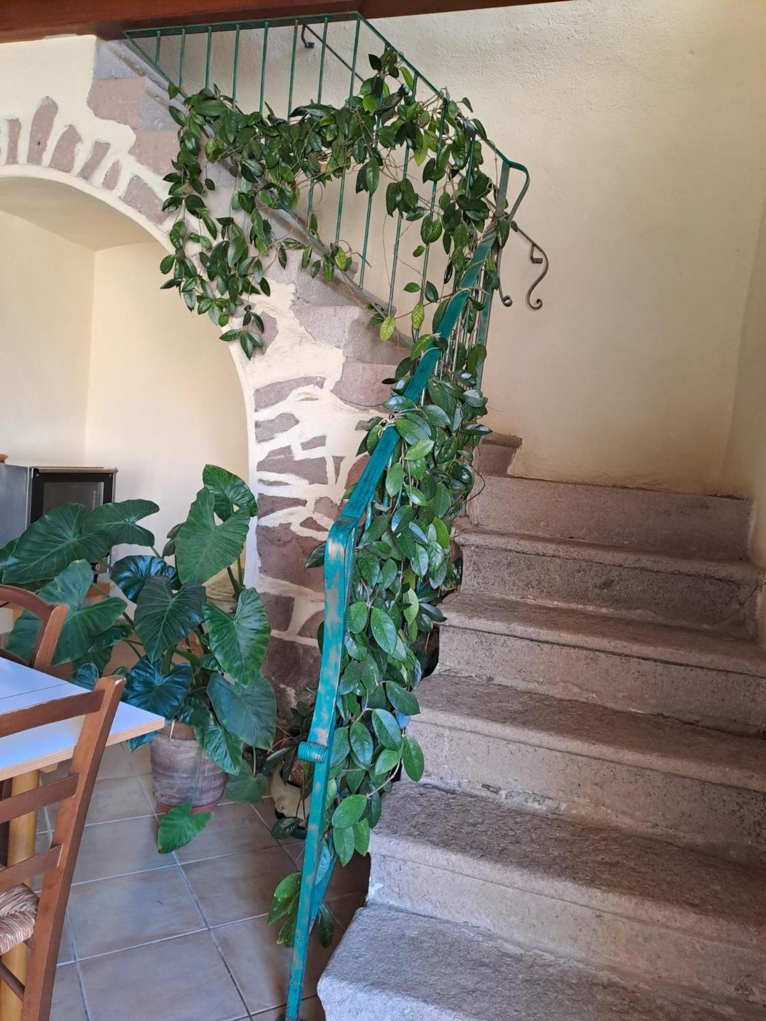 B&B S'Omu Antiga Nureci Buitenkant foto