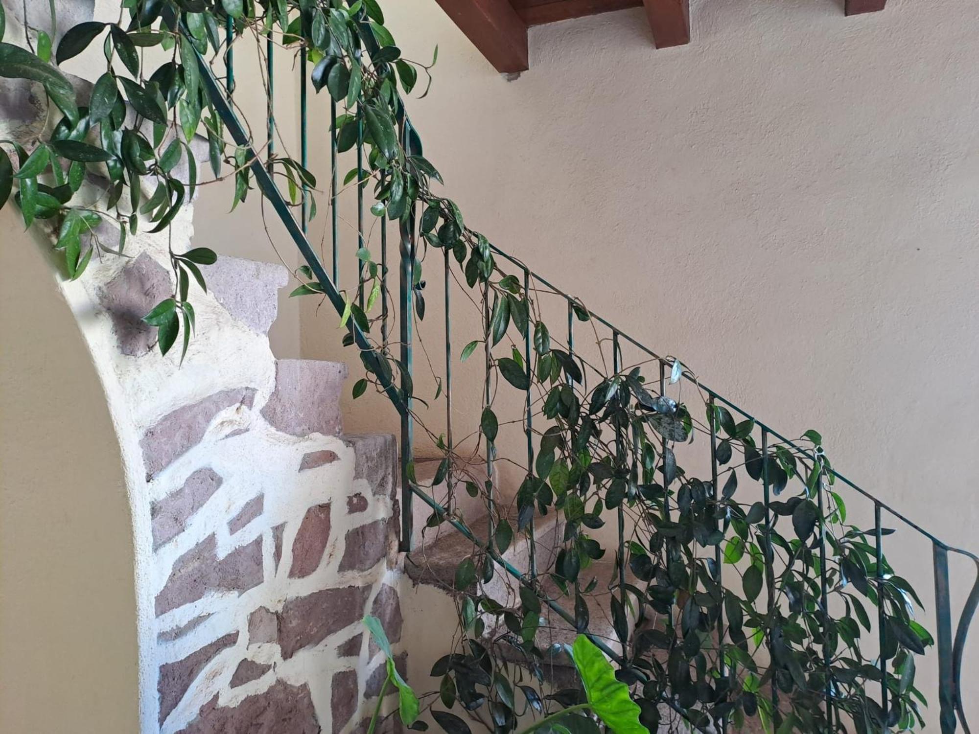 B&B S'Omu Antiga Nureci Buitenkant foto